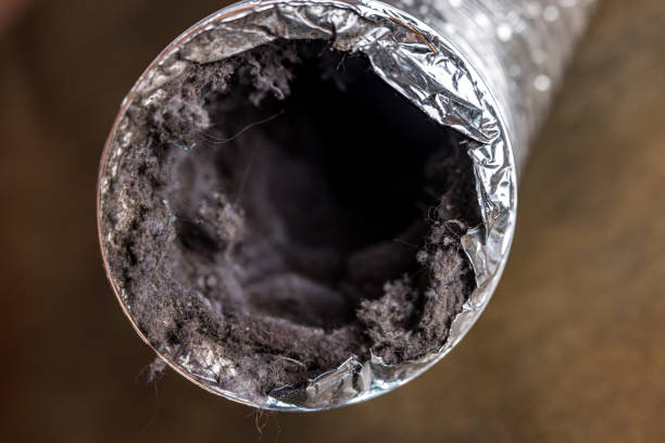 Best Air Duct Cleaning Near Me  in Bon Air, VA